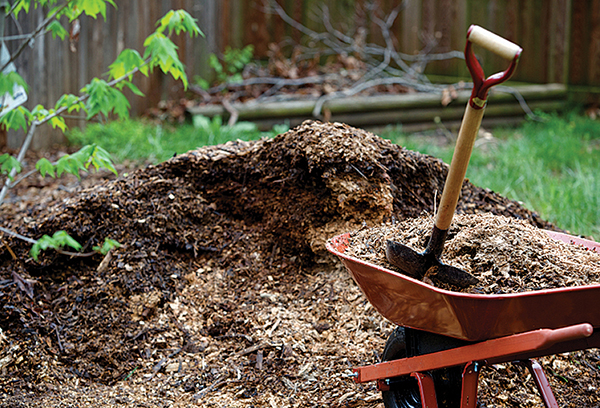 Compost de tourbe