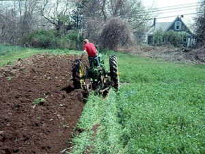 Période de plantation du seigle comme siderat