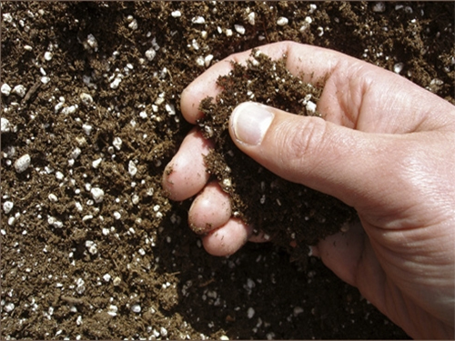 Sol fertilisé à l'urée