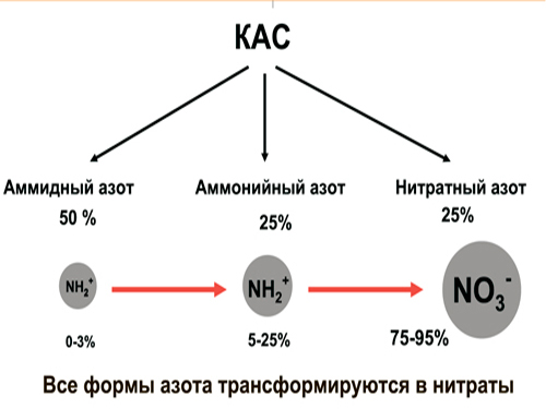 Състав на UAN торове