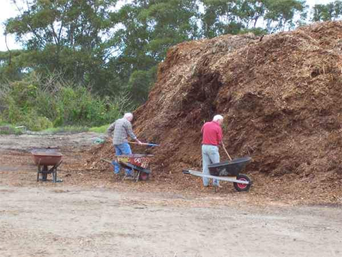 Sciure dans le compost pour la fertilisation du sol