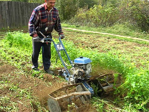 Labourer de l'engrais vert pour l'hiver