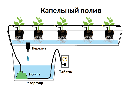 хидропоника принцип капково напояване