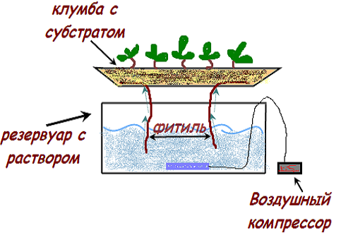 système hydroponique à mèche