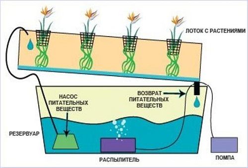 appareil hydroponique