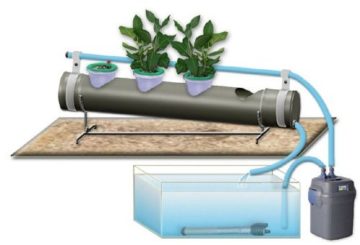 pots hydroponiques avec système d'irrigation automatique