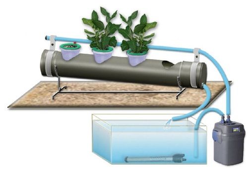 pots hydroponiques avec système d'irrigation automatique