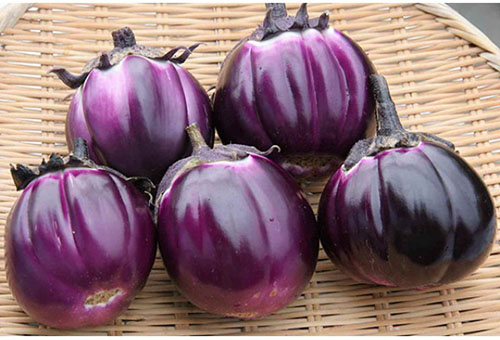 Auberginefrukt