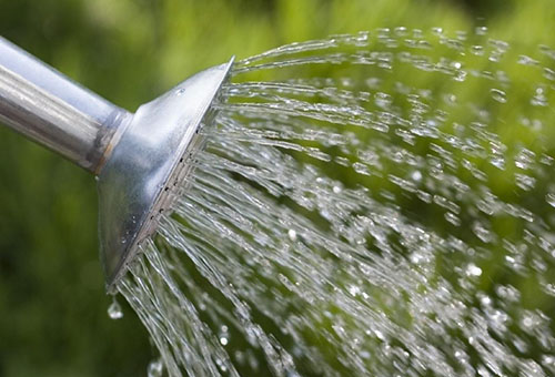 Arrosage d'un arrosoir de jardin