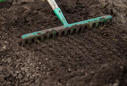 Préparer un endroit pour planter des plants