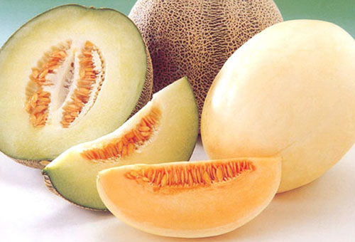 Variétés précoces de melons