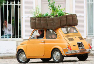 Transport de plantes vers le pays