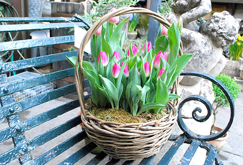 Panier avec des tulipes