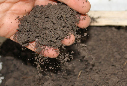 Terrain pour un jardin fleuri