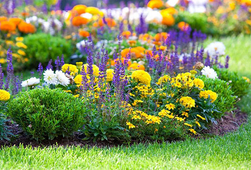 composition de fleurs