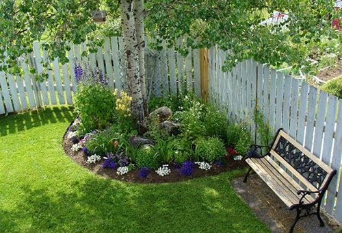 Un parterre à l'ombre sous un bouleau