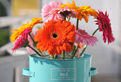 Bouquet de gerbera