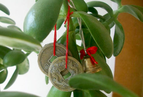 Pièces chinoises sur l'arbre d'argent