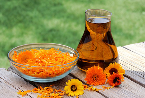 Infusion de calendula