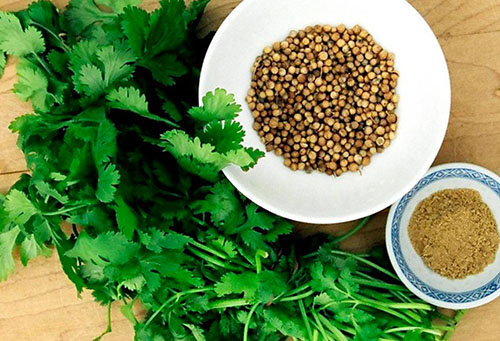 Graines de coriandre et légumes verts