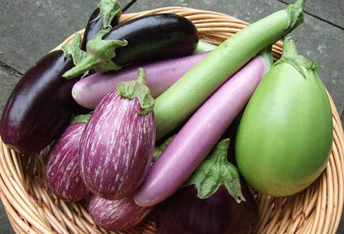 Aubergine de différentes variétés