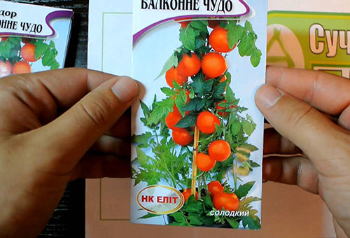 Graines de tomates Balcon miracle