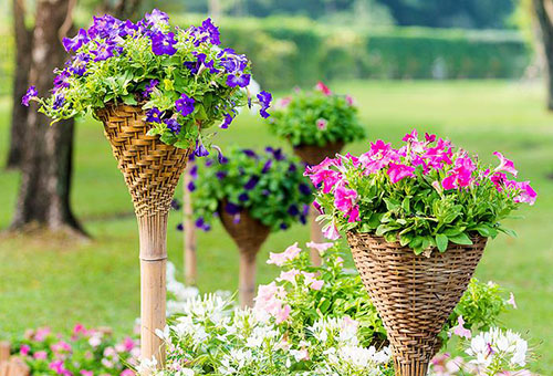 Fleurs dans des pots en osier décoratifs