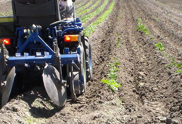 Hilling potatis med hjälp av tekniken