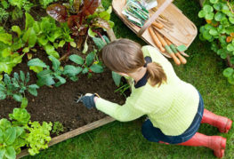 Plantation de plantes fille