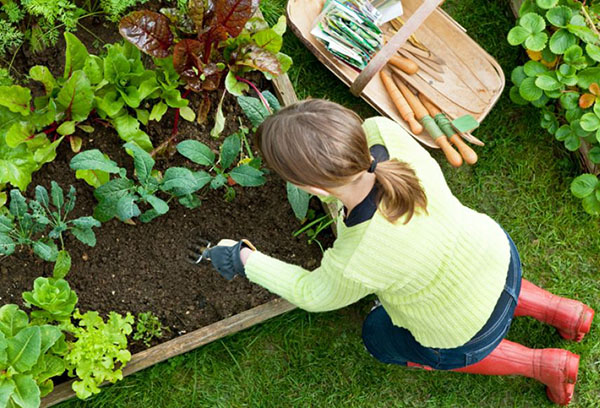 Plantation de plantes fille