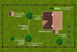 Plan de plantation d'arbres sur le site