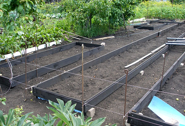 Plats förberedelse för plantering