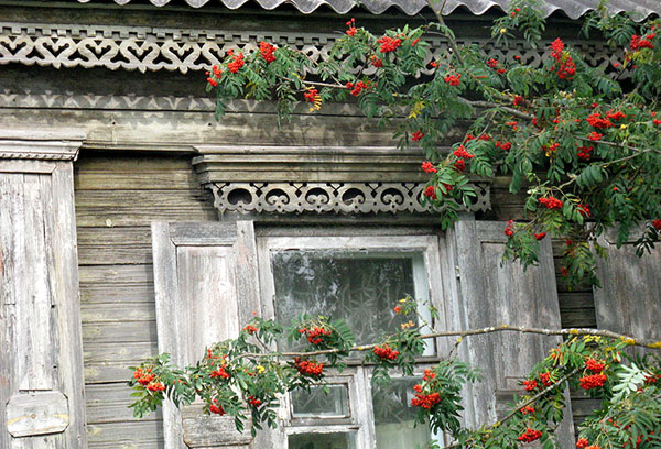 Rowan dans une maison en bois