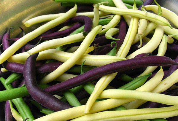 Différentes variétés de haricots d'asperges