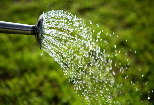 Arrosage d'un arrosoir de jardin