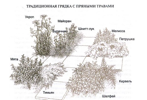 Традиционно билково легло