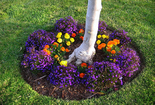 Jardin fleuri sous le pommier