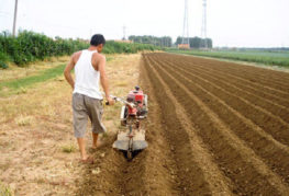 Préparation du site pour la plantation de pommes de terre