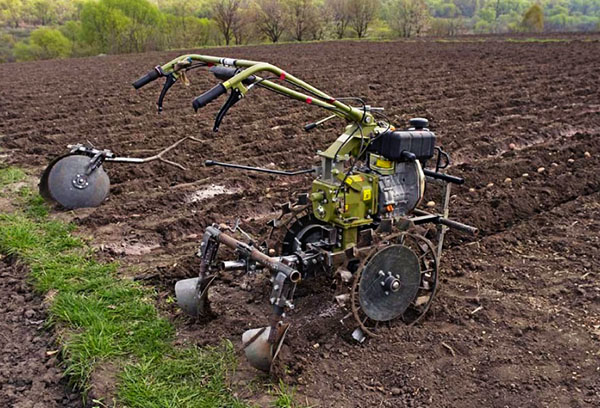 Planter des pommes de terre à l'aide d'un tracteur à conducteur marchant