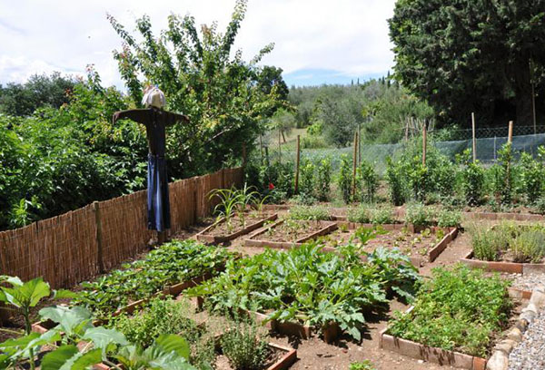 Potager d'épouvantail