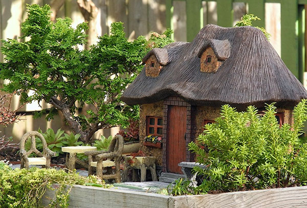 Mini jardin dans une boîte en bois