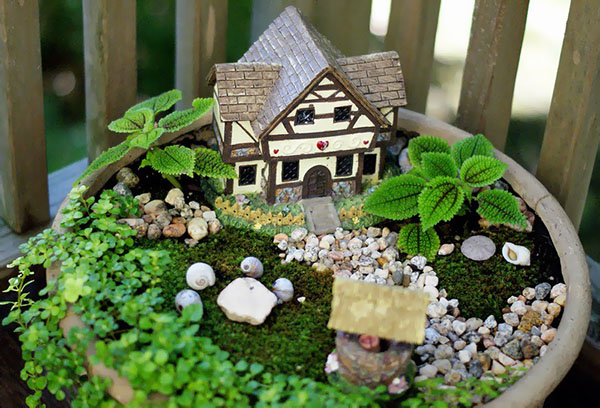 Jardin en pot miniature