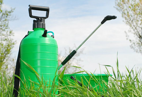 Pulvérisateur avec solution insecticide