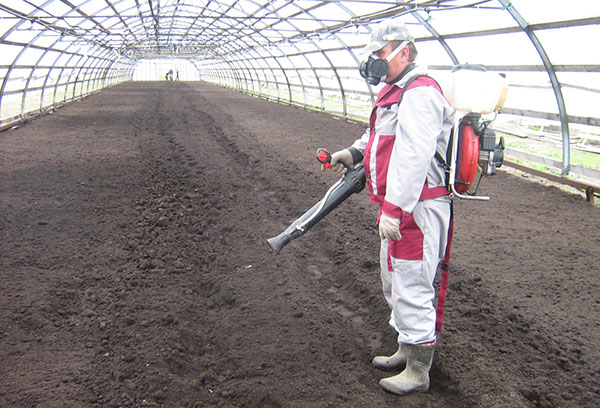 Travail du sol d'automne à partir de nématodes