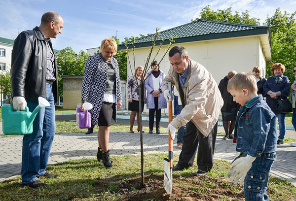 Plantation de Sakura