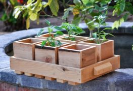 Boîte à plantes en bois