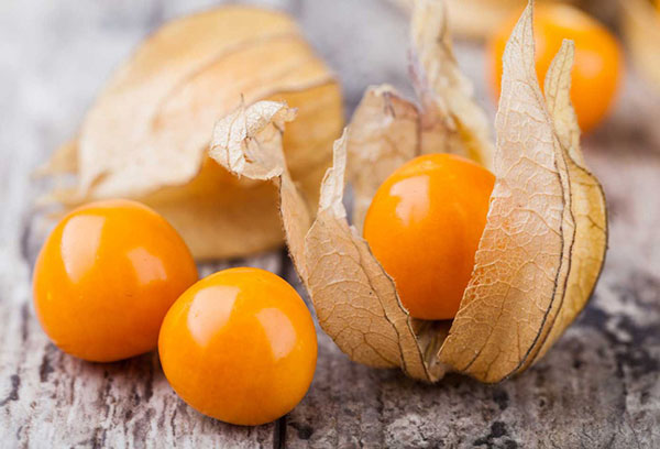 Physalis frukter