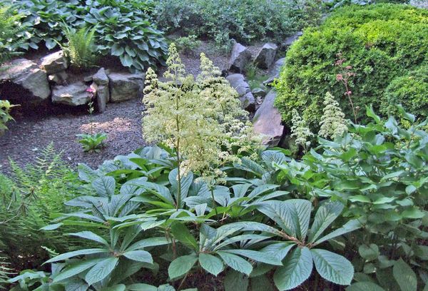 Rogers dans le jardin