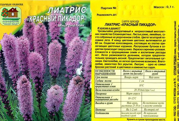 Hạt giống của Liatris