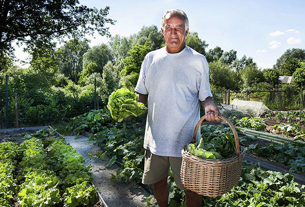 Skörd för sommarboende